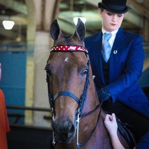 Meet your Posher, Karina